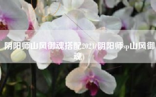 阴阳师山风御魂搭配2021(阴阳师sp山风御魂)