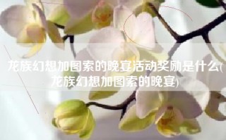 龙族幻想加图索的晚宴活动奖励是什么(龙族幻想加图索的晚宴)