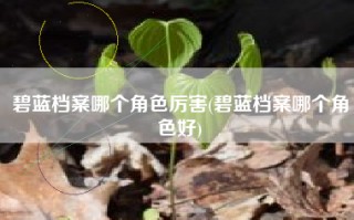 碧蓝档案哪个角色厉害(碧蓝档案哪个角色好)
