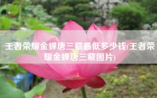 王者荣耀金蝉唐三藏最低多少钱(王者荣耀金蝉唐三藏图片)