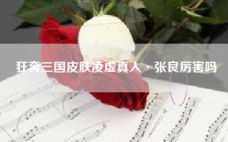 狂奔三国皮肤凌虚真人·张良厉害吗