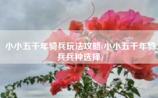 小小五千年骑兵玩法攻略(小小五千年骑兵兵种选择)