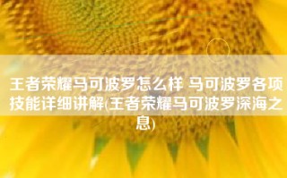 王者荣耀马可波罗怎么样 马可波罗各项技能详细讲解(王者荣耀马可波罗深海之息)
