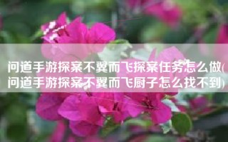 问道手游探案不翼而飞探案任务怎么做(问道手游探案不翼而飞厨子怎么找不到)