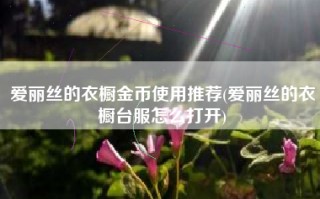 爱丽丝的衣橱金币使用推荐(爱丽丝的衣橱台服怎么打开)