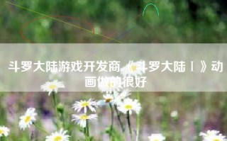 斗罗大陆游戏开发商,《斗罗大陆Ⅰ》动画做的很好