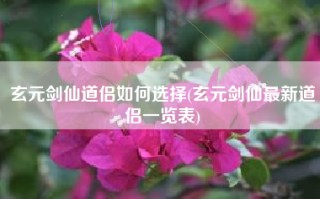 玄元剑仙道侣如何选择(玄元剑仙最新道侣一览表)