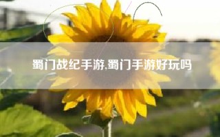 蜀门战纪手游,蜀门手游好玩吗