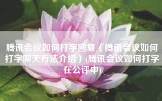 腾讯会议如何打字回复（腾讯会议如何打字聊天方法介绍）(腾讯会议如何打字在公评中)