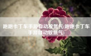 跑跑卡丁车手游自动放氮气(跑跑卡丁车手游自动放氮气)