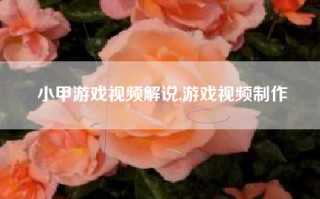 小甲游戏视频解说,游戏视频制作