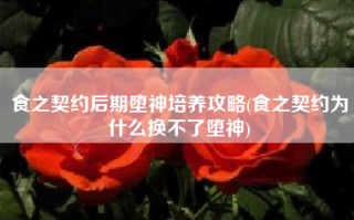 食之契约后期堕神培养攻略(食之契约为什么换不了堕神)
