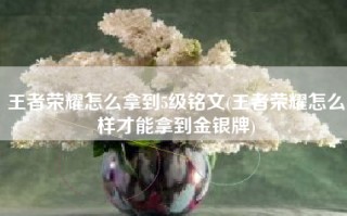 王者荣耀怎么拿到5级铭文(王者荣耀怎么样才能拿到金银牌)