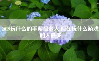 2019玩什么的手游最多人,现在玩什么游戏的人最多