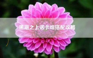 黑潮之上诺卡组搭配攻略
