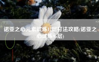 诺亚之心元素试炼17层打法攻略(诺亚之心试炼95层)