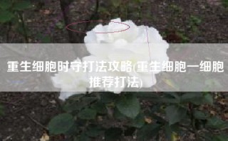 重生细胞时守打法攻略(重生细胞一细胞推荐打法)
