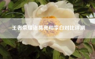 王者荣耀诸葛亮和李白对比评测