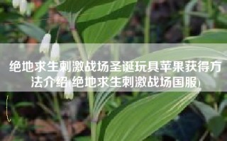 绝地求生刺激战场圣诞玩具苹果获得方法介绍(绝地求生刺激战场国服)