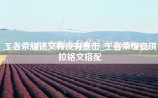 王者荣耀铭文有没有暴击_王者荣耀安琪拉铭文搭配