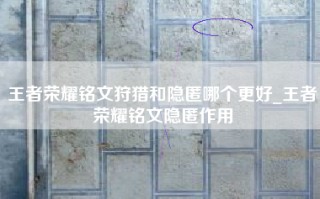 王者荣耀铭文狩猎和隐匿哪个更好_王者荣耀铭文隐匿作用