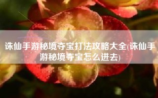 诛仙手游秘境夺宝打法攻略大全(诛仙手游秘境夺宝怎么进去)