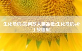 生化危机6如何放大瞄准镜(生化危机6补丁放哪里)