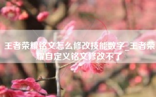 王者荣耀铭文怎么修改技能数字_王者荣耀自定义铭文修改不了
