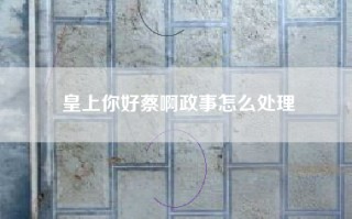 皇上你好蔡啊政事怎么处理