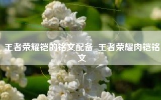 王者荣耀铠的铭文配备_王者荣耀肉铠铭文