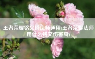 王者荣耀铭文搭法师通用(王者荣耀法师用什么铭文伤害高)