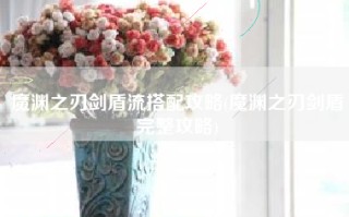 魔渊之刃剑盾流搭配攻略(魔渊之刃剑盾完整攻略)