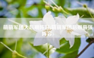 萌萌军团大后期阵容(萌萌军团后期最强阵容)