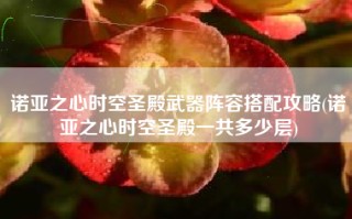 诺亚之心时空圣殿武器阵容搭配攻略(诺亚之心时空圣殿一共多少层)