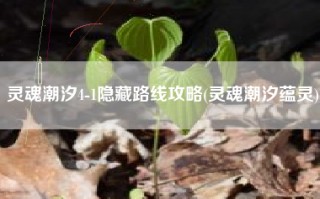 灵魂潮汐4-1隐藏路线攻略(灵魂潮汐蕴灵)