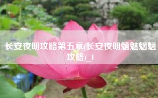 长安夜明攻略第五章(长安夜明魑魅魍魉攻略)_1