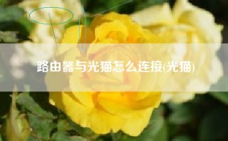 路由器与光猫怎么连接(光猫)