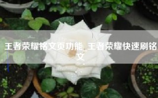 王者荣耀铭文页功能_王者荣耀快速刷铭文