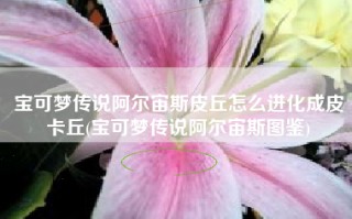 宝可梦传说阿尔宙斯皮丘怎么进化成皮卡丘(宝可梦传说阿尔宙斯图鉴)