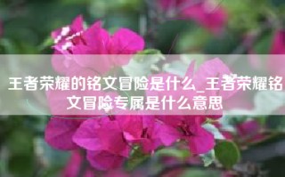 王者荣耀的铭文冒险是什么_王者荣耀铭文冒险专属是什么意思