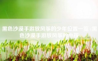 黑色沙漠手游放风筝的少年位置一览 (黑色沙漠手游放风筝的小孩)