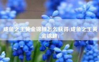 咸鱼之王黄金锦鲤怎么获得(咸鱼之王黄金锦鲤)