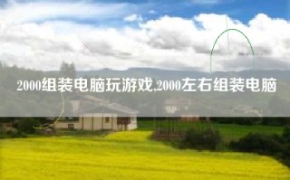 2000组装电脑玩游戏,2000左右组装电脑