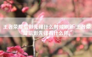 王者荣耀暗影先锋什么时候刷新(王者荣耀暗影先锋有什么用)