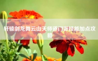 轩辕剑龙舞云山天师道门派技能加点攻略