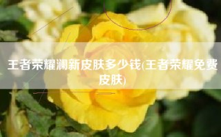 王者荣耀澜新皮肤多少钱(王者荣耀免费皮肤)