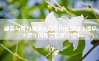 部落与弯刀魔焰火烧牛肉在哪买（魔焰火烧牛肉购买位置介绍）