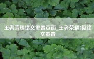 王者荣耀铭文重置页面_王者荣耀5级铭文重置