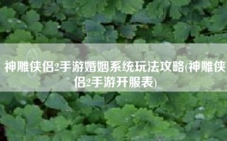 神雕侠侣2手游婚姻系统玩法攻略(神雕侠侣2手游开服表)