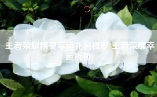 王者荣耀精灵幸运礼包概率(王者荣耀幸运折扣)